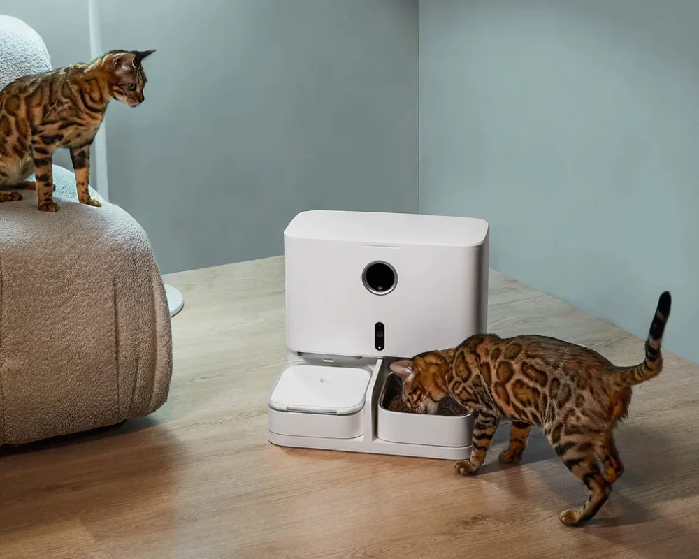 automatic dry food pet feeder